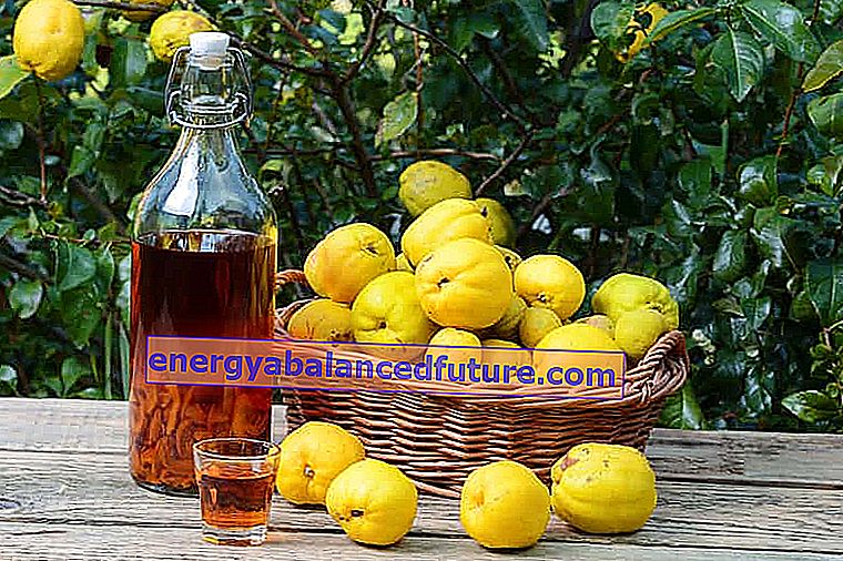Κυδώνι βάμμα σε αλκοόλη ή με μέλι - συνταγή, ιδιότητες 2