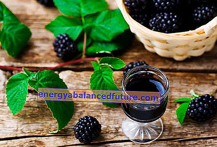 Blackberry vin - velprøvde oppskrifter på deilig hjemmelaget vin