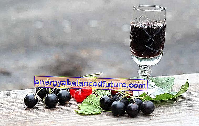 Víno z čiernych ríbezlí - osvedčené recepty na domáce ríbezľové víno