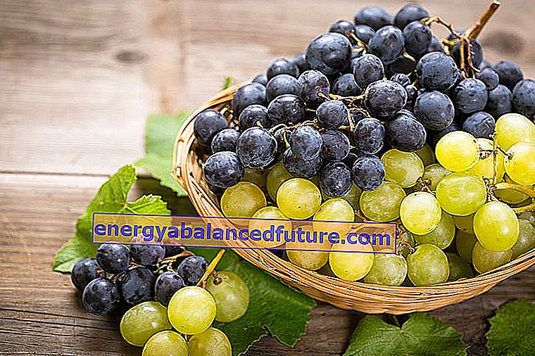 Kuidas valmistada viinamarjaveini - praktiline juhend ja järkjärguline retsept 2