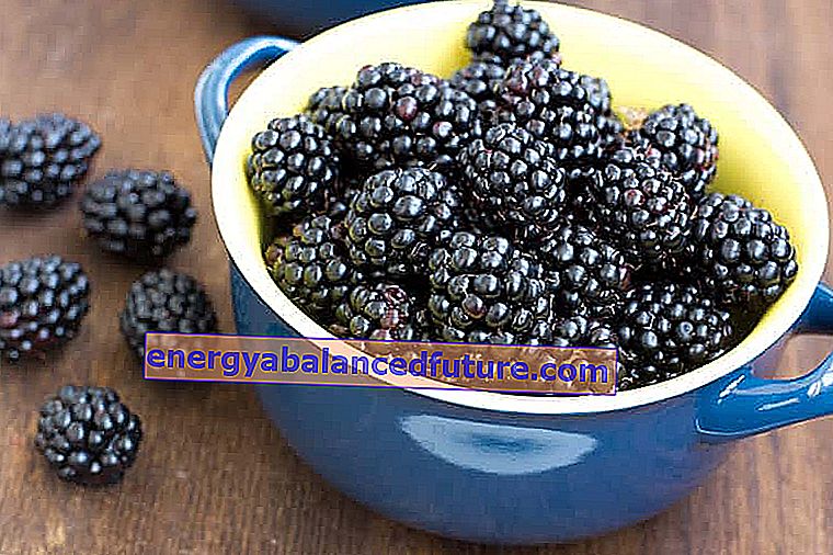 Blackberry vin - opskrift og tilberedning af hjemmelavet vin trin for trin
