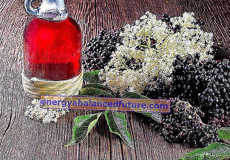 Elderberry tincture - trinnvis oppskrift for tilberedning 2