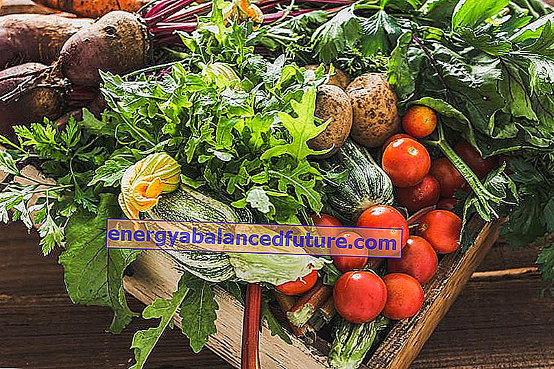 Høstning af grøntsager fra haven samt råd om, hvilke grøntsager i haven der er fordelagtige