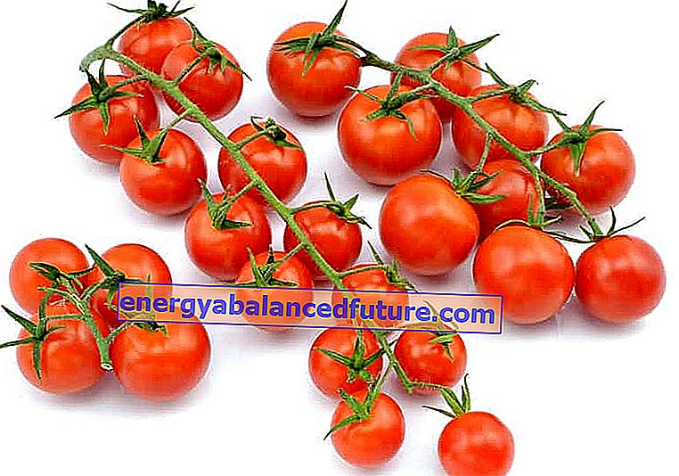 כיצד לגדל עגבניות שרי באופן עצמאי בבית או במרפסת?  3