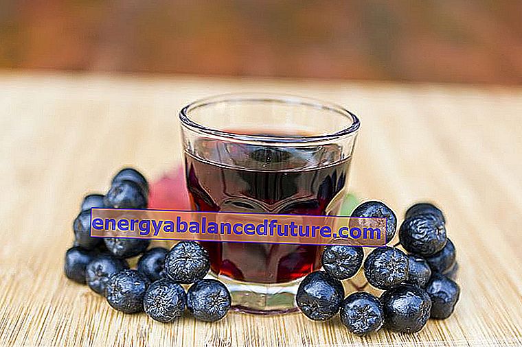 Μαύρο chokeberry - καλλιέργεια, φροντίδα, θεραπευτικές ιδιότητες των φρούτων chokeberry 3