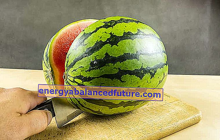Voksende vandmelon i jorden - plantning, avl, pleje, sygdomme