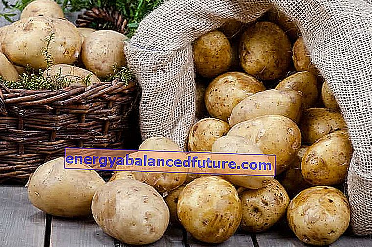 Kartoffelsorter i Polen - en gennemgang af populære arter